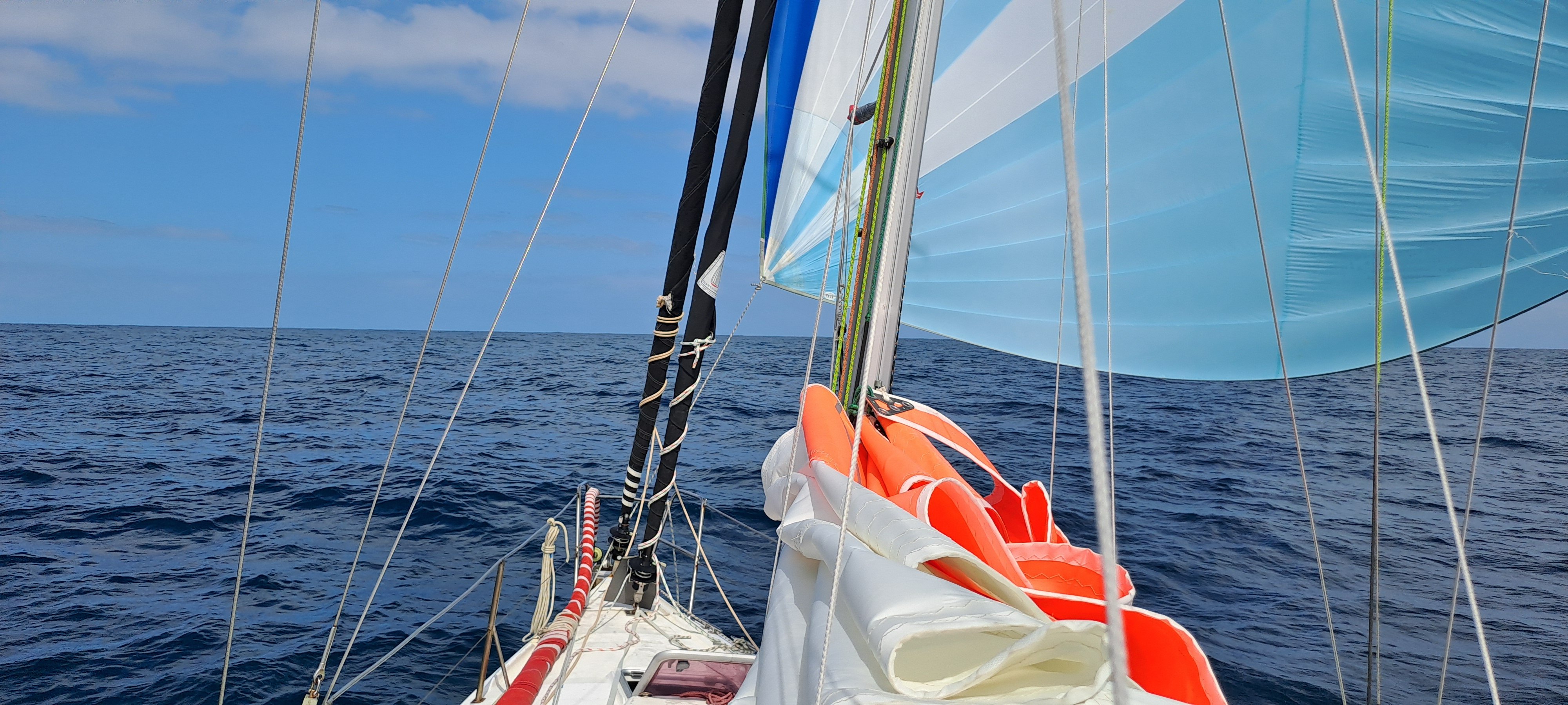20250108 1 photo pédagogique on y voit les 5 voiles usuelles GV trinquette génois reacher et spi